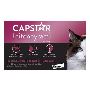 Buy Capstar for Cats 2-25 LBS Online