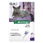 Buy Advantage Cats Over 10LBS [Purple] Online