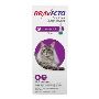 Buy Bravecto Spot On for Large Dogs 13.8-27.5 LBS [Purple] 