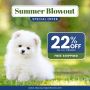 Summer's hottest deal: 22% Off on all Pet Supplies Summer's hottest deal: 22% Off on all Pet Supplies