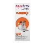 Buy Bravecto Topical for Small Dogs 9.9-22LBS Orange Online