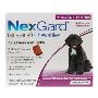 Nexgard for Dogs [24.1-60LBS] Flea and Tick Treatment 