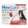 Nexgard for Dogs [60.1-120LBS] at Lowest Price