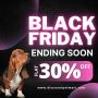 Final Hours: Black Friday Ends Soon! Grab 30% Off Now