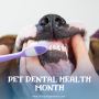 20% Off on Dog Dental Care + Free Shipping | DiscountPetMart