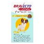 Buy Bravecto 1-Month Chew for Dogs [Yellow] + Free Shipping