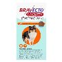 Buy Bravecto 1-Month Chew for Dogs Online + Free Shipping