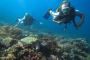 Explore Bali Best Dive Spots in Nusa Penida Diving