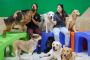 Luxury Dog Boarding Near Me › Miami Gardens & Doral, FL