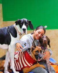 Top Dog Daycare near me -Always have a Love & Fun!