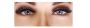 Mega Volume Lashes - Dollface Beauty Bar