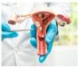 Dr Dharav Kheradia - Best Uterine Fibroids Treatment Doctor 