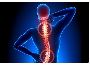 Get Complete Care for Your Spine by Expert Spine Specialist 