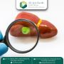 Expert Gallbladder Removal by the Best Gallbladder Surgeon