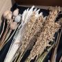  Wide Range of Dried Flowers For Christmas 