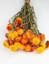 Buy a Wide Range of Dried Flowers from our Spring Collection