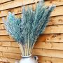 Dry Pampas Grass Adds Dazzle Look For Your Hotel Decoration