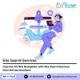 Improve On-Site Navigation with Best Site Search Services