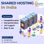 Unlock the potential of your website with our shared hosting