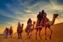 Unforgettable Desert Safari in Dubai: The Ultimate Safari Ad