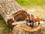 The Guys Tree Service