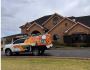 Are Pests Creeping into Your Space? Trust EMK Termite & Pest