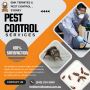Termite Pest Removal in Sydney - EMK Termite & Pest Control