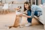 The Pet Owners’ Guide to Carpet Cleaning:Tips for a Fresh