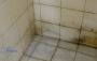 How to Tackle Mold and Mildew Problems in Office Bathrooms 