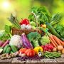 Best Holistic Nutrition Certification
