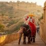 Best Elephant Ride In Jaipur Cost Deals Best Elephant Ride In Jaipur Cost Deals