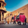 Elephant Village Jaipur Experience the Joy of Elephant 