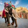 Book Jaipur Elephant Ride for a Royal Amer Fort Experience