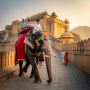 Amer Elephant Safari Jaipur Guide for Heritage Lovers
