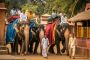 Elephant Village Jaipur Experience The Royal Connection