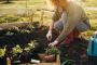 Emerald Grove Landscaping | Landscaper in Courtice ON Emerald Grove Landscaping | Landscaper in Courtice ON