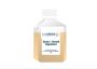 AlphaFBS by Alpha Bioregen | Premium Fetal Bovine Serum for 