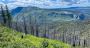 Phase 2 Environmental Site Assessment in Calgary