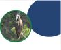 Biophysical Environmental Assessments