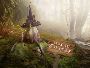 Book Magic Forest From Escape Room Glasgow