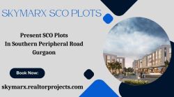 Your Business Deserves the Best - Choose Skymarx SCO Plots
