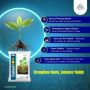 Sustainable Agrochemical Solutions in India by NACL 