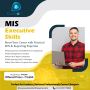 MIS Executive Skills – Build the Power of Data - Evision