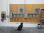 Industrial Electrical Panel Upgrades – Power Up Your Busines