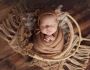 Book the Best Newborn Photography Sydney – Capture Precious 