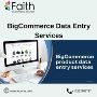 BigCommerce Data Entry Services for Busy Sellers
