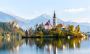  From Farm to Fork: The Best Culinary Adventures in Slovenia
