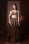 Fashefy- Elegant Indo Western Lehenga 
