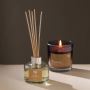 Aromatherapy with Wax Scented Candles | FigLiving