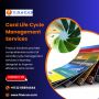 Card Life Cycle Management Services